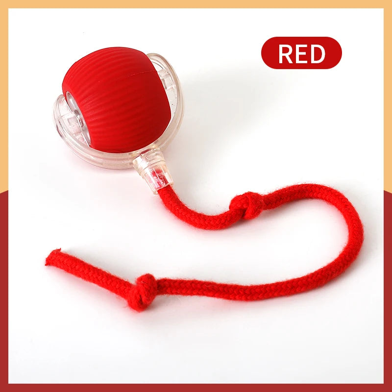 New Electric Cat Ball Toys Automatic Rolling Ball With Teaser Bird Cat Toys Pet Interactive Smart  Sensor Rechargeable Cat Toys